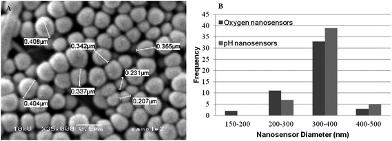 (A) SEM micrograph of oxygen responsive sol–gel nanosensors produced using the Stöber process. (B) Histogram showing particle diameters of oxygen and pH nanosensors.