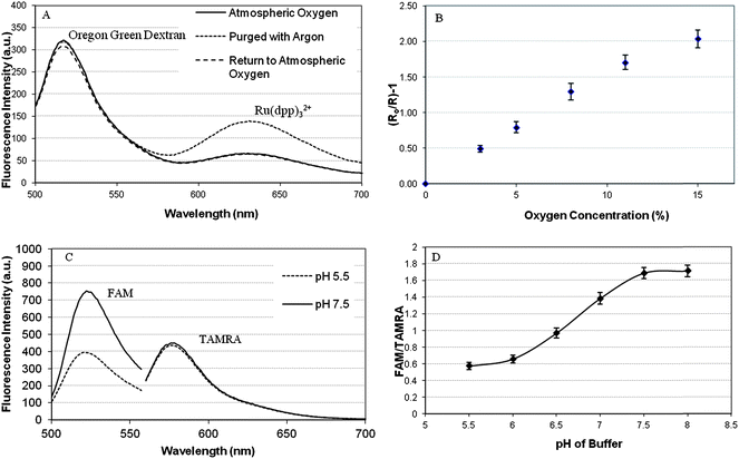 (A) Fluorescence emission spectra of oxygen responsive sol–gel nanosensors; showing the response of the incorporated dyes to oxygen. (B) Stern–Volmer plot for oxygen responsive sol–gel nanosensors over a biologically relevant oxygen concentration range. (C) Fluorescence emission spectra for pH responsive sol–gel performed at pH 5.5 and pH 7.5. (D) Calibration curve for pH responsive sol–gel nanosensors; calculated using the ratio of the fluorescence intensities FAM and TAMRA over a biologically relevant pH range. Error bars represent SEM N = 3.