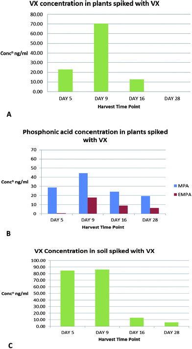 Concentration of VX and its degradation products in Sinapis alba and soil. (A) VX concentration profile in Sinapis alba, (B) phosphonic acid concentration in Sinapis alba, and (C) VX concentration in soil. Results for each time point represent an average of analyses of four plants.