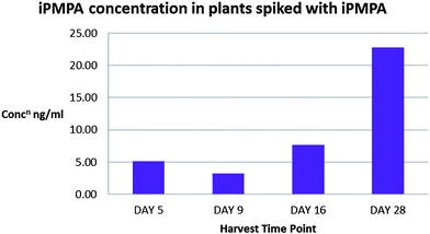 Concentration of iPMPA in Sinapis alba. Results for each time point represent an average of analyses of four plants.
