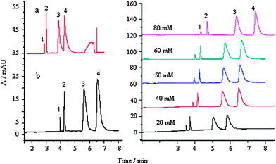 Effect of surfactants on separation: a, without SDS, b, with SDS; buffer: 50 mM, pH 4.0; buffer–acetonitrile (v/v), 1 : 2; separation voltage, 23 kV; temperature, 25 °C; 1, MG; 2, CV; 3, LCV and 4, LMG; each compound, 30 μg mL−1.
