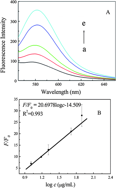 Fluorescence emission spectra of MAB (50 nM) after incubation with 10.2, 15.4, 17.9, 20.5, 51.2 and 78.8 μg mL−1 PrPC (a–e) (A), and then addition of GO (30 μg mL−1). (B) The plot of fluorescence intensity ratio F/F0vs. logarithm of PrPC concentration.