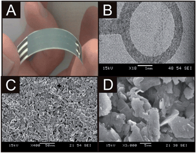 An image demonstrating the ultra flexible and robust nature of the IP-SPE (A) and typical SEM images of the sensor at increasing magnifications; ×250 (B), ×2500 (C) and ×5000 (D).