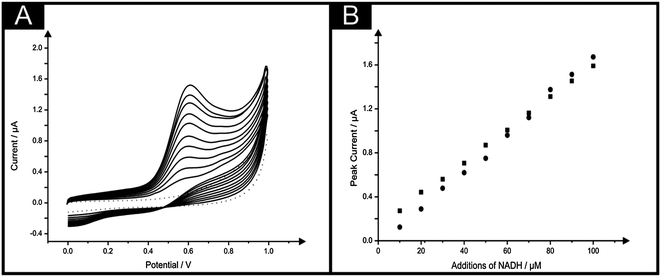 (A) Typical cyclic voltammagrams arising from additions of NADH in to a pH 7 buffer using the IP-SPE. Scan rate: 100 mV s−1. (B) Corresponding calibration plots over the range studied (10–100 μM) NADH using the IP-SPE (squares) and standard SPE (circles).