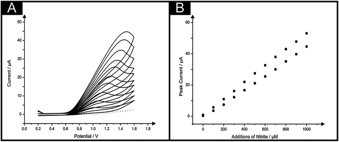 (A) Typical cyclic voltammagrams arising from additions of nitrite in to a pH 7 buffer using the IP-SPE. Scan rate: 100 mV s−1. (B) Corresponding calibration plots over the range studied (100–1000 μM) nitrite using the IP-SPE (circles) and standard SPE (squares).