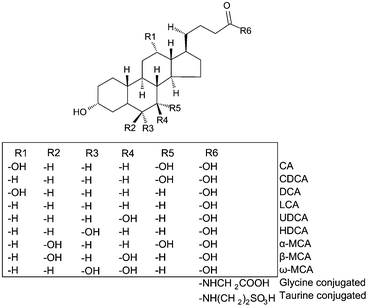 Structure of BAs.