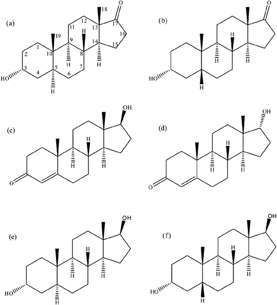 Steroid structures. (a) Androsterone, (b) etiocholanolone, (c) testosterone, (d) epitestosterone, (e) 5α-androstane-3α,17β-diol and (f) 5β-androstane-3α,17β-diol.