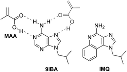 Proposed primary (black) and secondary (grey) mode of interaction between the functional monomer (MAA) and 9IBA, and the chemical structure of imiquimod (IMQ).