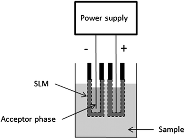Schematic illustration of set-up used for simultaneous EME of anions and cations.