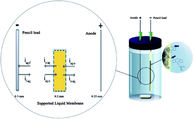 Equipment used for the EME-SPME method and mechanism of transport across liquid–liquid–solid boundaries. The flux of the analytes is represented by “i”; and o, aq, and f represent the organic, the aqueous and the carbonaceous fiber, respectively. Reproduced with permission.75