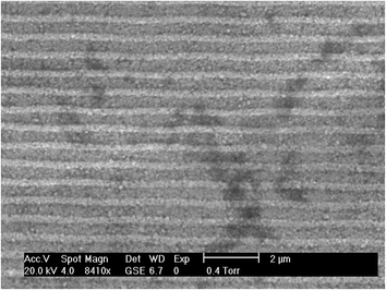 SEM imagine of the surface of the DVD-RW Ag working electrode.