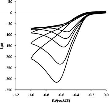 Effect of scan rate on the cyclic voltammetric behaviour of a 1.74 mM in 0.1 M pH 7 phosphate buffer. Scan rate varied between 5, 10, 20, 50 and 100 mV s−1; all other voltammetric conditions as Fig. 1.