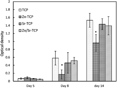 TRAP assay as a function of culture days. (*Statistical difference p < 0.05, n = 3).