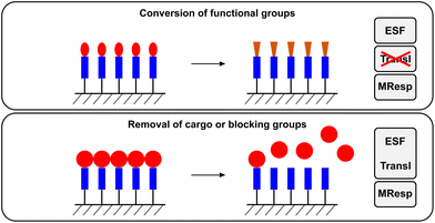 The functions performed by enzyme responsive surfaces. In the case of the conversion of functional groups on the surface, the translation of the enzymatic reaction (Transl) does not occur since the conversion of the functional group is concomitant with the material response (MResp). For the removal of compounds/materials from the surface, the enzyme sensitive functionality (ESF) is combined with the translation of the enzymatic reaction (Transl).