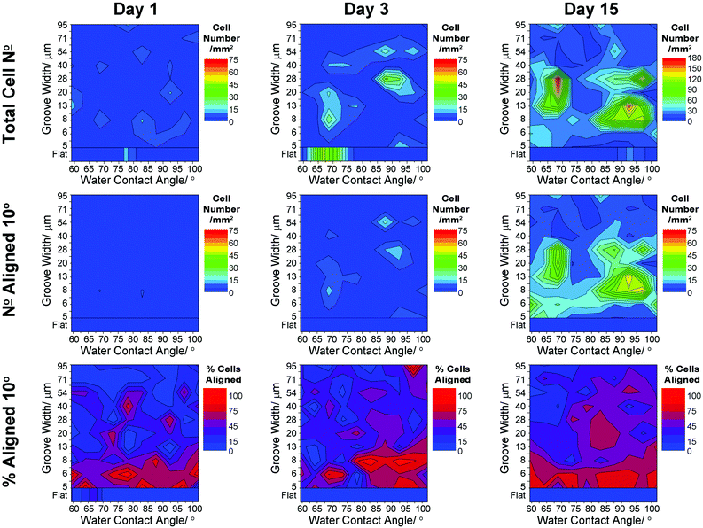 Heat scale plots showing variation in radial glia responses to surface wettability and groove width: cell density, cell number and percentage cells aligned to within 10° of the groove direction. Averages shown for all data (n = 3) from 1, 3 and 15 days in culture.