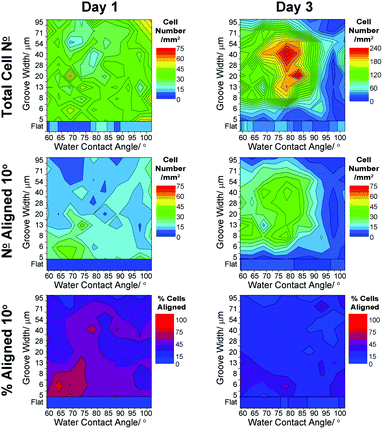 Heat scale plots showing variation in neuron responses to surface wettability and groove width: cell density, cell number and percentage cells aligned to within 10° of the groove direction. Averages shown for all data (n = 3) from 1 and 3 days in culture.