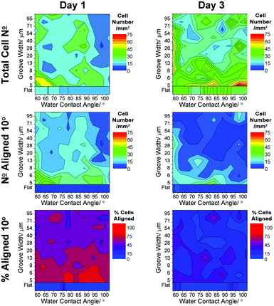 Heat scale plots showing variation in neuron density and alignment when co-cultured with a mature radial glial population: neuron cell density, cell number and percentage neurons aligned to within 10° of the groove direction. Averages shown for all data (n = 3) from 1 and 3 days in culture.