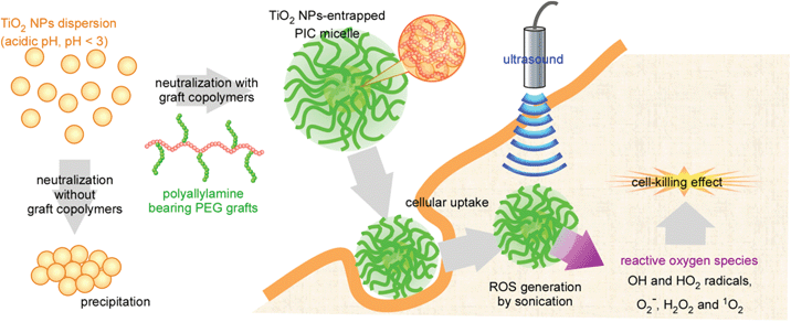 Schematic image of TiO2 NP-entrapped polyion compex micelles for sonodynamic therapy.