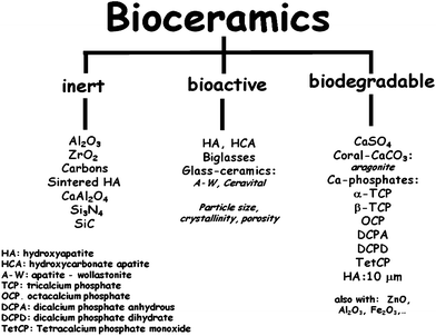 Main bioceramics classified as a function of its reactivity with living tissues.