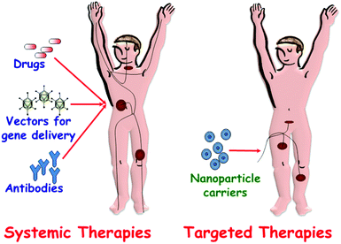 A schematic depiction of drug administration through systemic therapies versus targeted therapies.