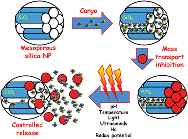A schematic representation of the different steps involved in the performance of MSNPs as stimuli-responsive drug delivery devices. Firstly, drug is loaded into the mesopore channels. The pore openings are then closed using nanocaps to prevent premature drug departure. Finally, the application of a stimulus provokes the removing of the gatekeepers allowing the release of the entrapped drug.
