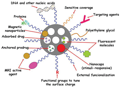 Multifunctionality and cargo loading possibilities of MSNPs. Small drug molecules can be loaded into the mesopores by adsorption from solution. It is also possible to attach some prodrugs to the functional groups present in the inner part of mesoporous silica walls. Biomolecules, such as proteins, targeting agents or nucleic acids can be attached to the external surface of MSNPs. Biocompatible polymers, such as polyethylene glycol (PEG), can be linked to the external surface of MSNPs to give them “stealth” properties. The surface charge of MSNPs can be modulated by using different functional groups to increase their dispensability in biological fluids. Different nanocaps can be used to design stimuli-responsive drug delivery devices. Magnetic nanoparticles can be incorporated into the silica matrix to provide the resulting MSNPs with magnetic properties suitable for magnetic guidance, hyperthermia and magnetic resonance imaging (MRI). The systems can be made bio-imageable by attachment of fluorescent moieties and MRI-active agents.