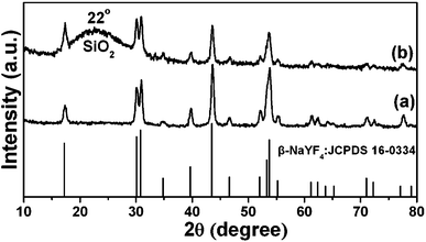 XRD patterns of β-NaYF4:Yb3+, Er3+ nanoparticles (UCNPs) (a) and UCNPs@mSiO2 (b). The standard card of β-NaYF4 was given as a reference.