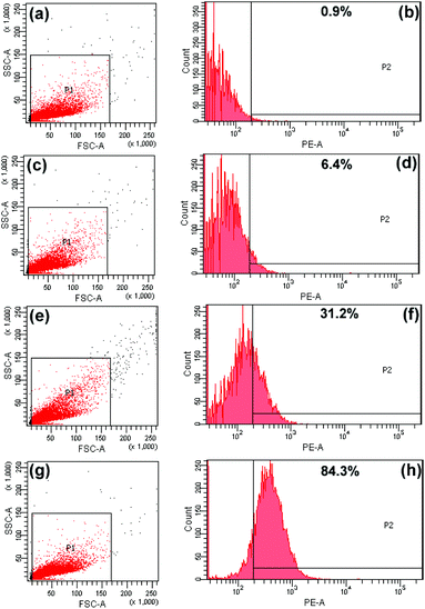 Flow cytometry analysis of the control cells (a, b) and HeLa cells incubated with DOX-loaded UCNPs@mSiO2-PEG/FA nanocomposite spheres for 30 min (c, d), 3 h (e, f), and 6 h (g, h).