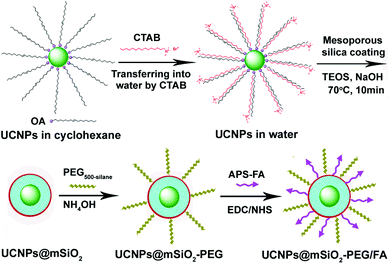 Schematic illustration for the synthesis of UCNPs@mSiO2-PEG/FA composite nanospheres.