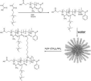 PMMA-b-P(PEGMEMA-co-MAA) block copolymer synthesis via RAFT polymerization using PMMA macroRAFT agent, followed by self-assembly of the block copolymer and shell-crosslinking using 1,8-diaminooctane. The uncrosslinked micelles were obtained using PEGMEMA only (no MAA).