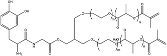 DOPA modified monomer with two vinyl functional groups that allow homopolymerization.57