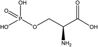 Chemical structure of phosphoserine, a residue present in high concentration in the secreted glue of the sandcastle worm.