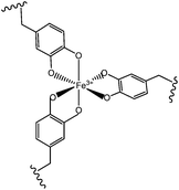 [Fe(dopa)3] complex formation with DOPA oxidation and iron reduction that occur immediately leading to semiquinone formation.