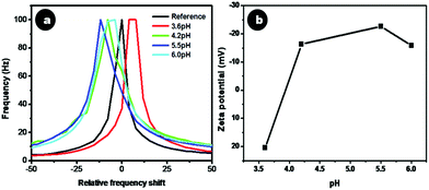 (a) Relative frequency shift and (b) zeta potential of Cit-CaF2:Eu nanoparticles synthesized at different pH.