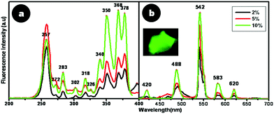 Fluorescence (a) excitation and (b) emission spectra of CaF2:Tb. Inset shows the picture of CaF2:Tb powder when viewed under a fluorescence microscope.