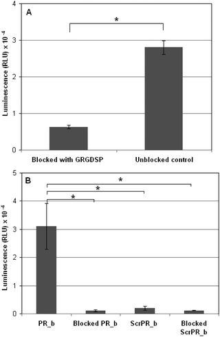 (A) Delivery of bPEI condensed DNA encapsulated in PR_b functionalized PEGylated liposomes to either unblocked DLD-1 cells or DLD-1 cells with their surface integrins blocked by GRGDSP peptides free in solution. Cells were incubated with 100 ng of DNA loaded stealth liposomes functionalized with 5 mol% PEG2000 and 5.3, 4 and 4 mol% PR_b (for the three liposomal formulations tested) for 40 hours at 37 °C after which the luminescence was quantified. (B) Delivery of bPEI condensed DNA encapsulated in PR_b functionalized or Scrambled PR_b functionalized PEGylated liposomes to either unblocked DLD-1 cells or DLD-1 cells with their surface integrins blocked by PR_b peptides free in solution. Cells were incubated with 100 ng of DNA loaded stealth liposomes functionalized with 5 mol% PEG2000 and 4.8, 6.1 and 5.9 mol% PR_b or 6.4, 5.4 and 5.9 mol% ScrPR_b for 40 hours at 37 °C after which the luminescence was quantified. The values represent mean ± standard error of three separate liposomal experiments (n = 3), each done in replicates of six. Students t-test statistical analysis was performed and the statistical significance notated for the bracketed data * indicates p < 0.001.