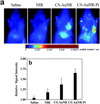 (a) Fluorescence images of H22 tumor bearing mice treated with different formulations after IV injection Annexin-Vivo 750. (b) The apoptosis index of the tumor quantified as the relative radiance flux ratio.