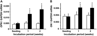 Effect of silica on the expression of osteopontin (OPN) (A) and osteonectin (ON) (B) in the absence (open bars) or presence of silica (filled bars).