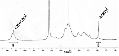 
          1H-NMR of chitosan-c36.4.