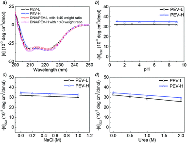 (a) CD spectra in water of PEV-L, PEV-H, DNA–PEV-L, and DNA–PEV-H at 1 : 40 weight ratio at pH 3. (b) The pH dependence of the residue molar ellipticity at 222 nm for PEV-L and PEV-H at 0.05 mg mL−1. (c) Salt dependence of residue ellipticity at 222 nm for PEV-L and PEV-H at pH 3 and 0.05 mg mL−1. (d) The helical stabilities of PEV-L and PEV-H at pH 3 and 0.05 mg mL−1 in the presence of urea.
