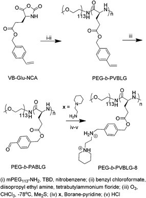 The chemical route for the preparation of PEG-b-PVBLG-8 from VB-Glu-NCA.