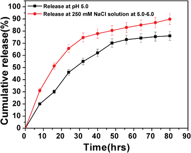 DOX release pattern of drug-loaded FA-HSNPs in PBS buffer pH 5.0 and in the presence of 250 mM NaCl in PBS buffer at pH = 5.0–6.0.