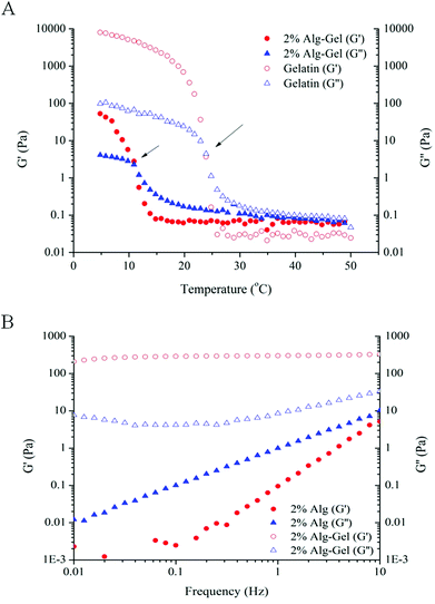 Rheological measurements. (A) Temperature sweep measurements comparing Alg-Gel with gelatin. Gelation temperature indicated by the temperature where G′ intersects G′′ (indicated by arrows); (B) frequency sweep measurements comparing 2% Alg to 2% Alg-Gel.