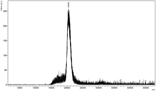 The MALDI-TOF chart of the extracted keratin.