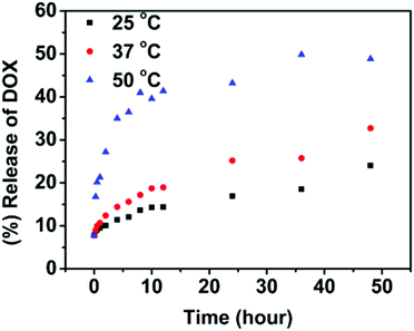 
            In vitro release of doxorubicin from the SPU2 nanoparticles in PBS (pH 7.4) at different temperatures.