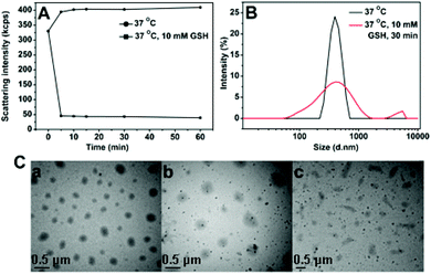 (A) Redox-triggered scattering intensity changes of SPU1 aqueous solution under different conditions. (B) Reduction-triggered changes of SPU1 nanoparticle size distributions. (C) TEM graphs of SPU1 nanoparticles treated with GSH in aqueous solution: (a) 37 °C without GSH, (b) 37 °C with 10 mM GSH for 1 h, (c) 37 °C with 10 mM GSH for 2 h.