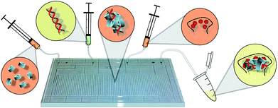 Conceptual diagram of HA-Ad:CD-PEI:pDNA transfection complex preparation by microfluidic assembly. CD-PEI (far left) is first mixed with pDNA (mid-left); intermediate polyplexes (center) are mixed with HA-Ad (mid-right), resulting in the final nanoparticles (far right) of controlled diameter, composition, and low polydispersity.