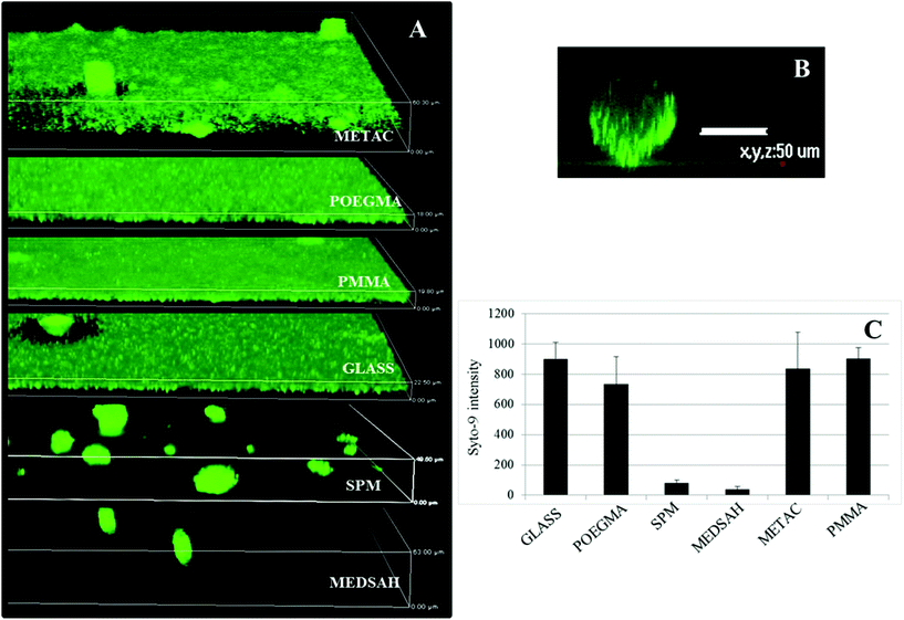 Biofilm of P. aeruginosa PAO1 on different polymer surfaces formed after 72 h in the flow cell. A – confocal microscopy images; although flat biofilms are dominating on glass, POEGMA, PMMA and METAC, occasional mushroom structures are seen; B – zoomed side view of a typical mushroom structure formed on SPM and MEDSAH; C – bacterial biomass of P. aeruginosa PAO1 attached to the surface; the height of the 3D-box in panel A represents 60 μm for METAC, 18 μm for POEGMA, 20 μm for PMMA, 23 μm for glass, 50 μm for SPM and 63 μm for MEDSAH.