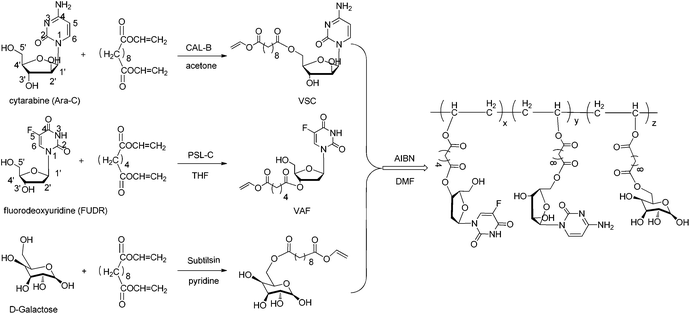 Chemo-enzymatic synthesis of a galactose-functionalized multidrug copolymer containing cytarabine and fluorodeoxyuridine.