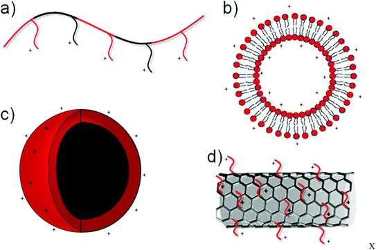 Schematic representation of various non-viral transfection agents depicting cationic polymers (a), liposomes (b), nanoparticles (c) and functionalised carbon nanotubes (d).